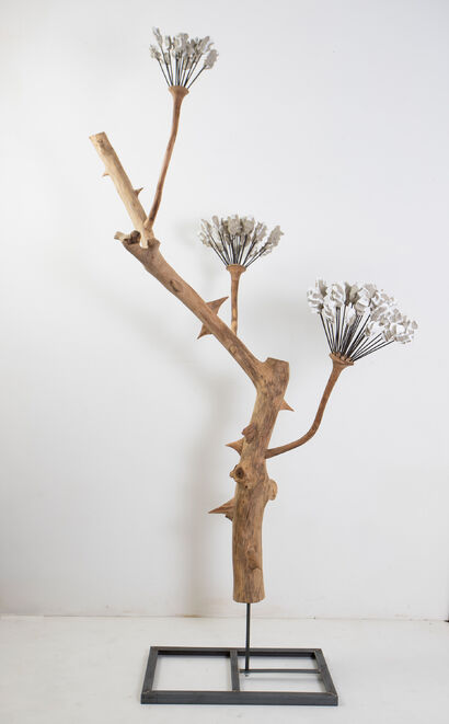 Inflorescentia pugnax - a Sculpture & Installation Artowrk by stefano zaratin
